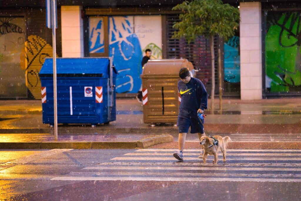 Foto de Logroño Bajo la   Lluvia: Capturas      Fotográficas   Recientes% en Noticias Locales %